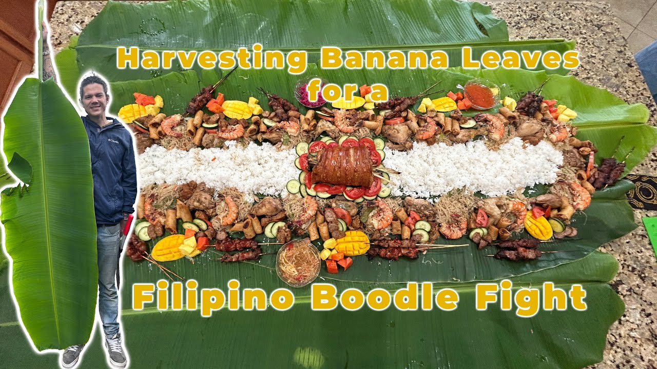 Harvesting Banana Leaves for Filipino Boodle Fight!