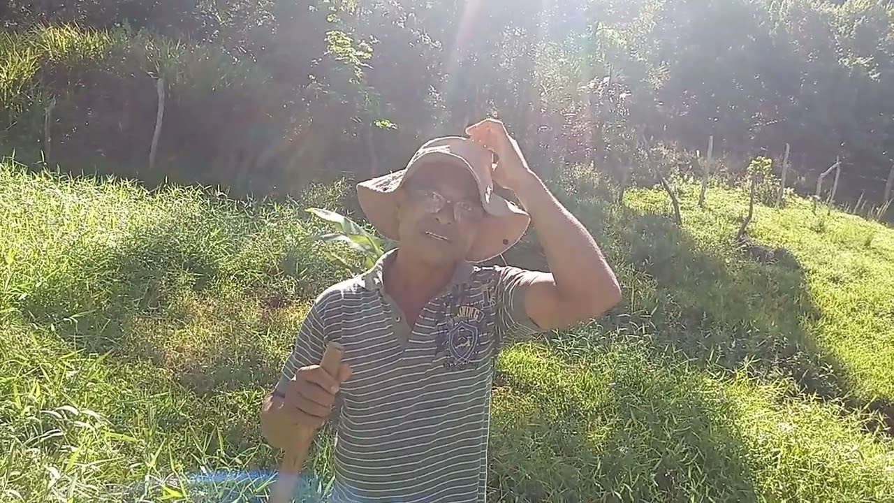 Mostrando o percurso do riacho até a casa.