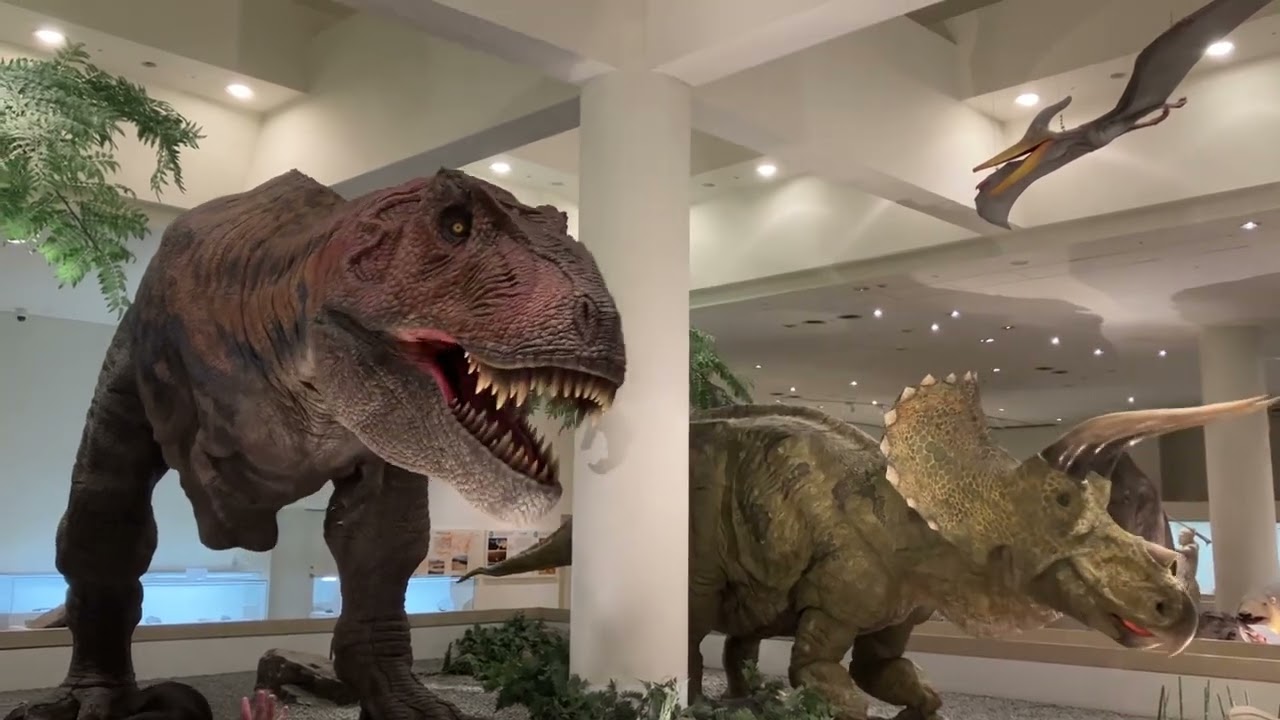 愛媛県総合科学博物館　常設展示　恐竜