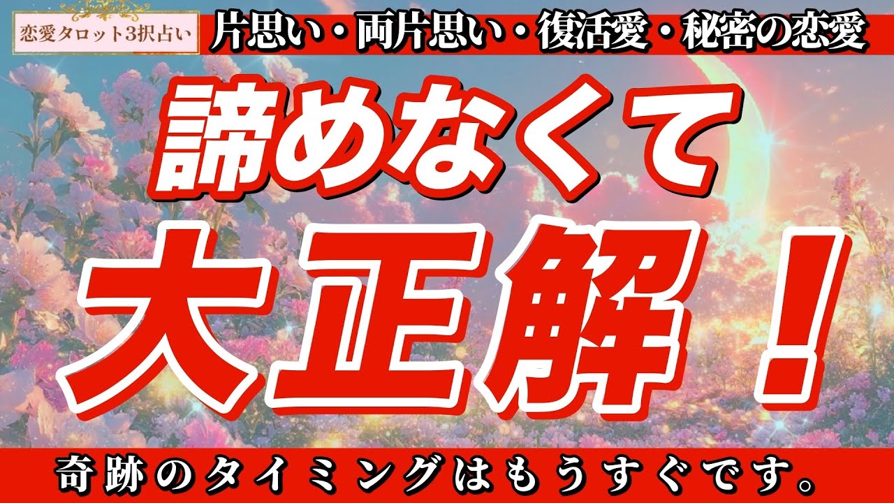 【恋愛タロット3択】✨2人の関係が劇的に動き出す‼️✨奇跡のタイミングはもうすぐなんです💞【諦めなくて大正解！】