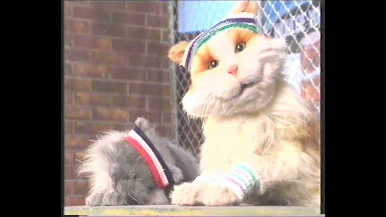 Cat's Eyes: Movement