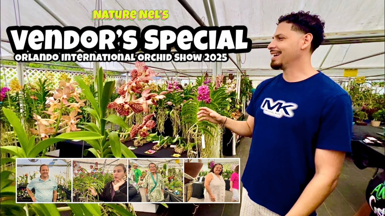 Let’s get to know the vendors! Join us at the Orlando Inter. Orchid show 2025. Get the orchid scoop.