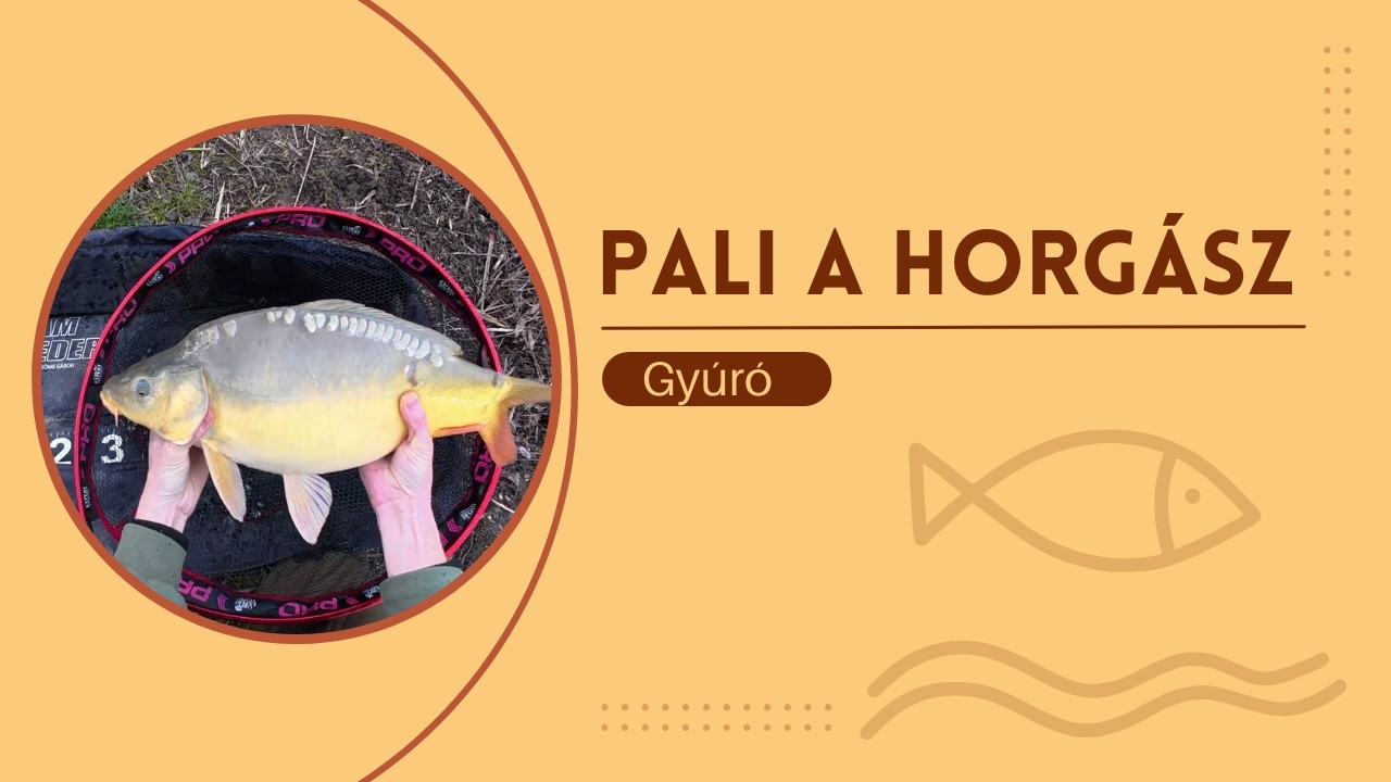 Gyúró