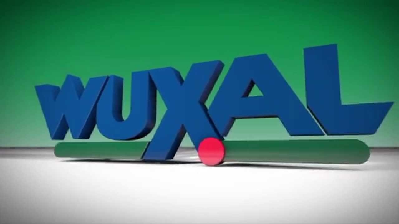 Fokhagyma tápanyag utánpótlása.