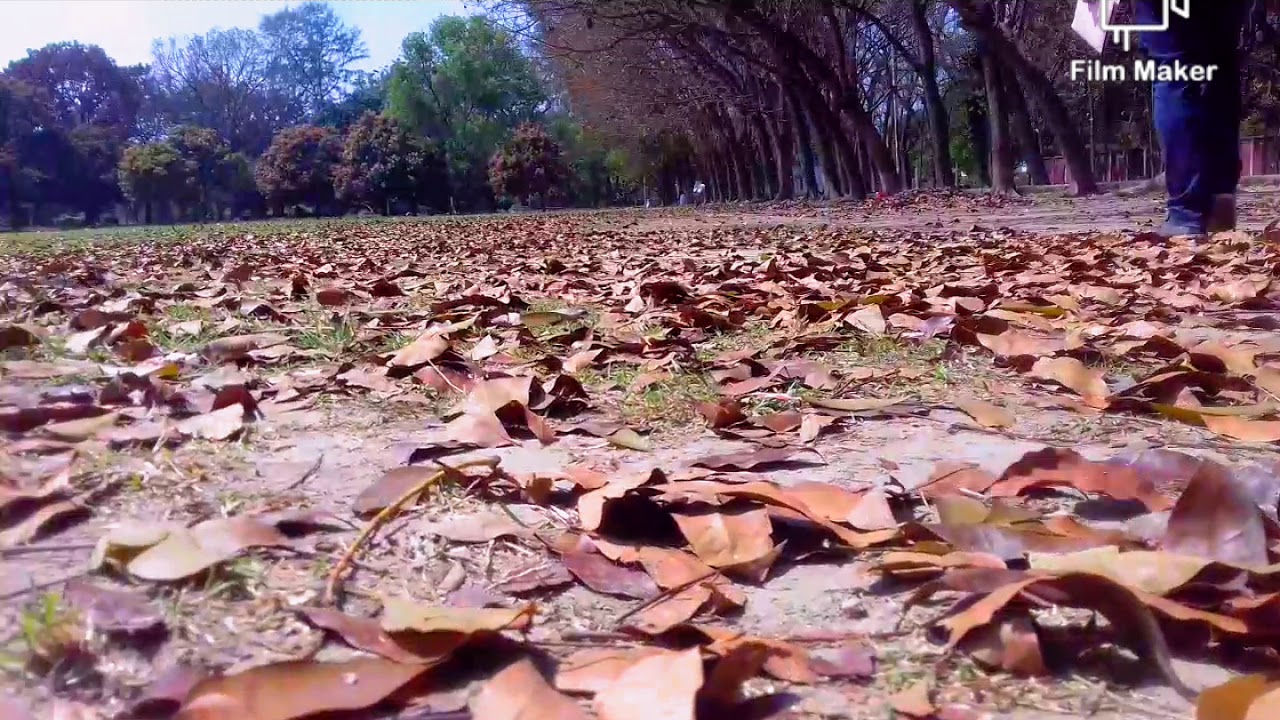 Spring vive| Rajshahi University 2020 | ft Refatul, Oni