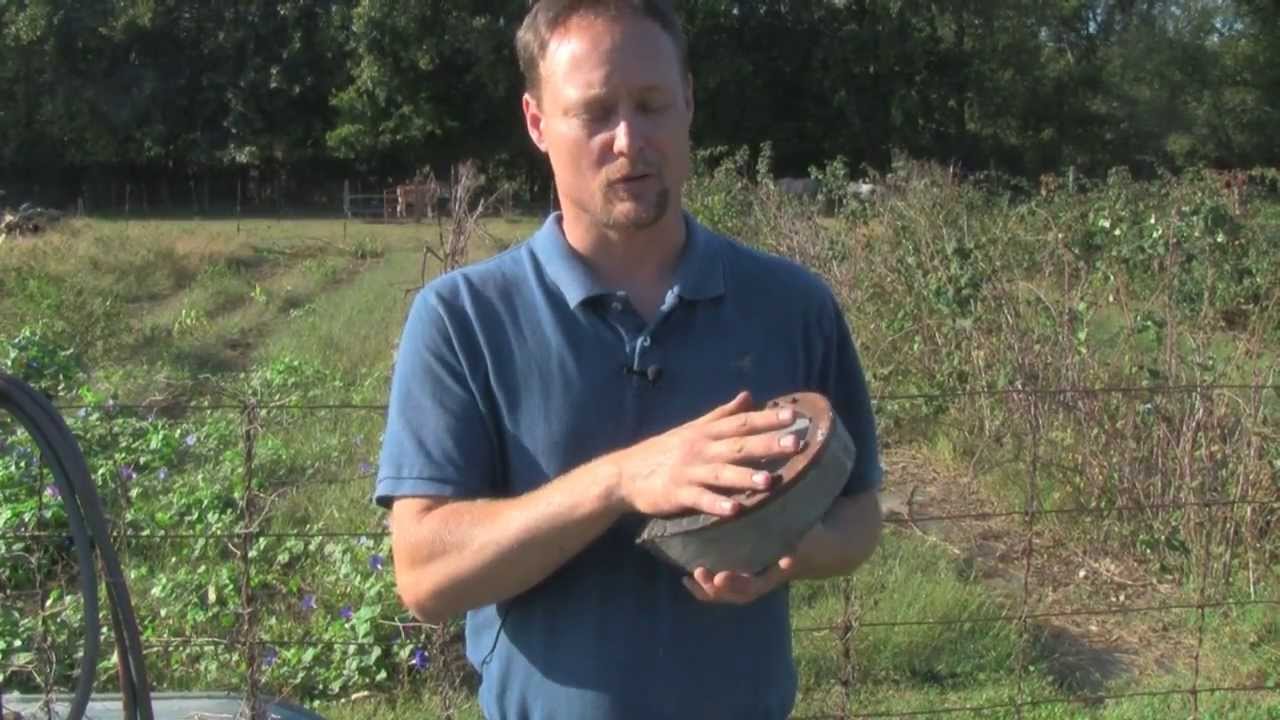 Farrier Quick Takes (John Schmidt): Regulatory Effects On Farriers Shoeing Tennessee Walking Horses