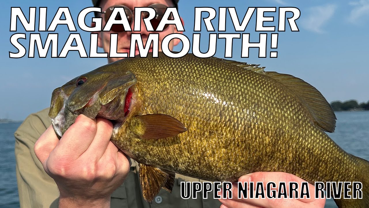 Niagara River Smallmouth Bass