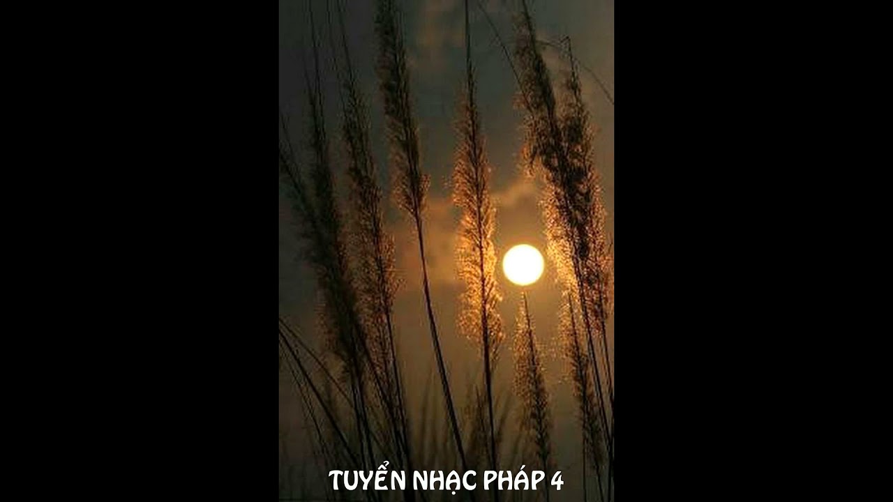 TUYỂN NHẠC PHÁP 4