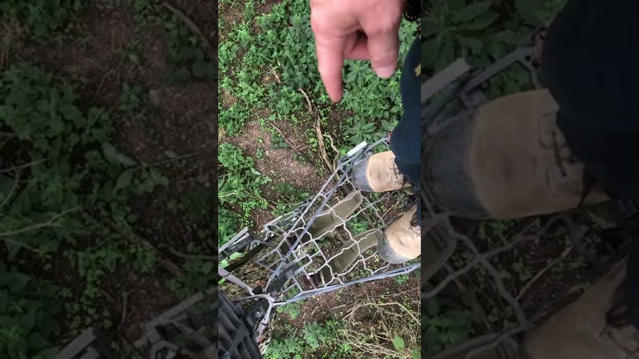 Lone Wolf Custom Gear .75 Review