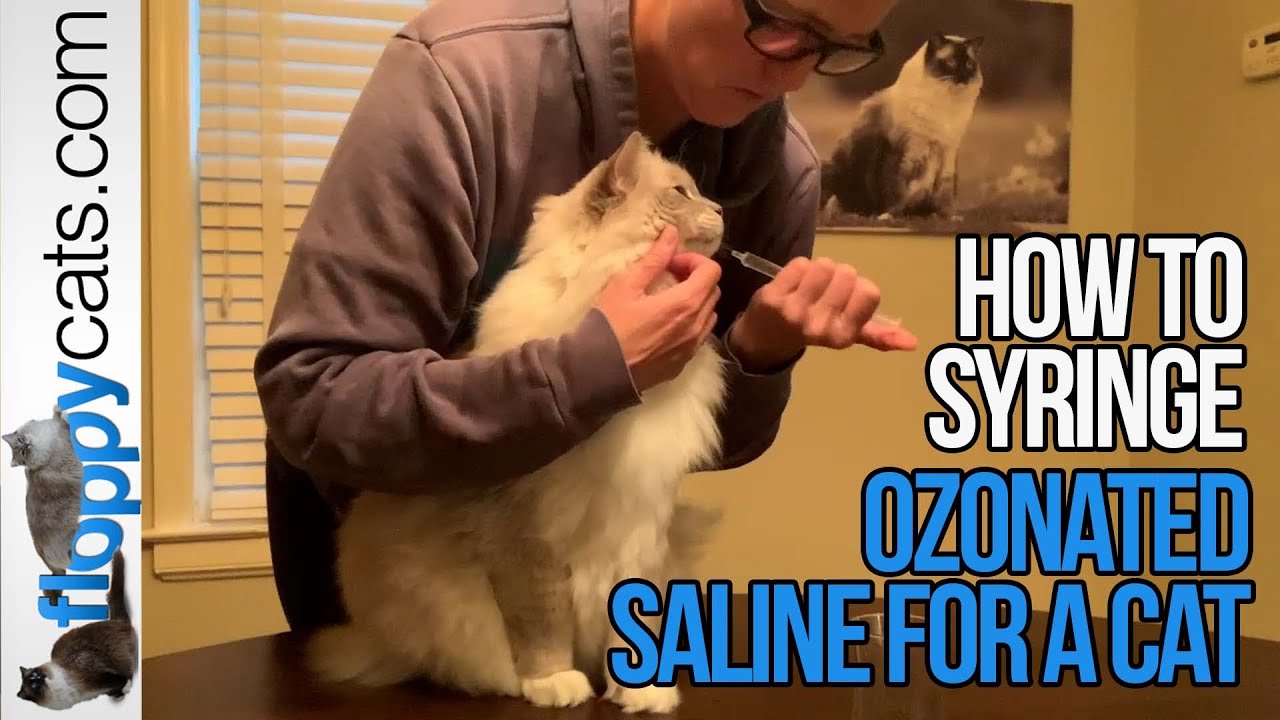 Ozonated Saline for Cats: How to Syringe It and Why It Works