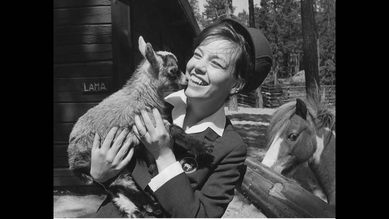 Din Stad Norrköping - Igenkänningens Glädje