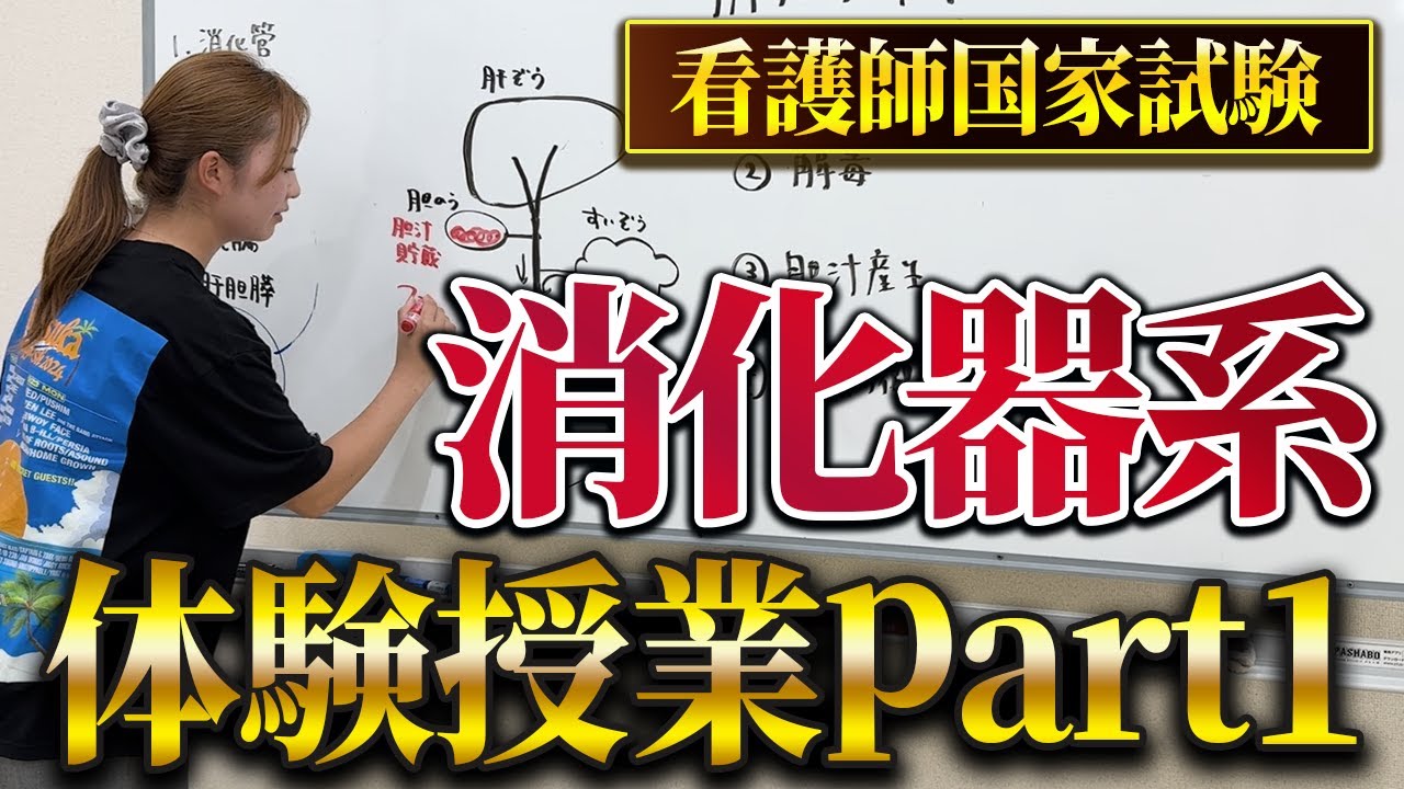 【看護師国家試験】8月1日「はる看」消化器体験授業-アーカイブ-