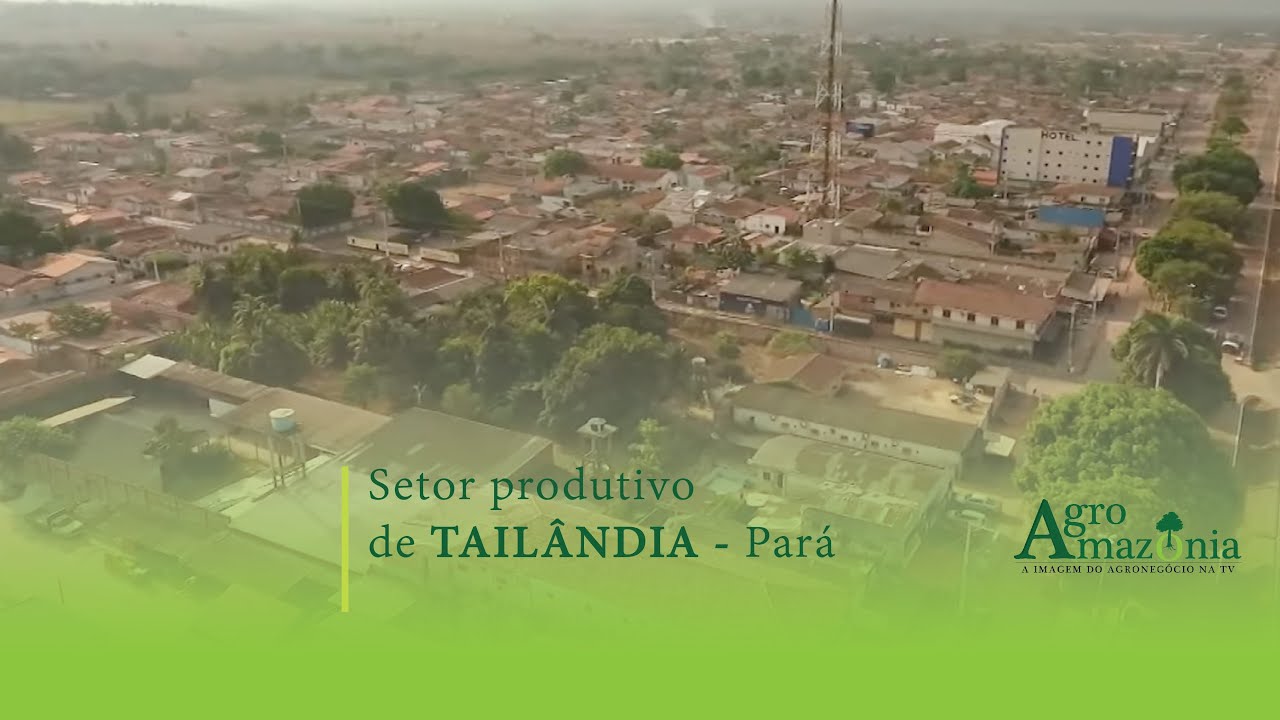 Setor Produtivo de Tailândia - Pará