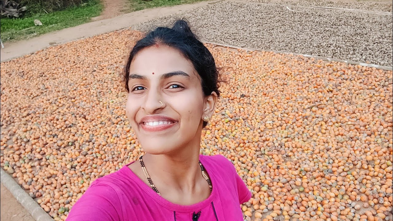 ಅಡಿಕೆ ಕೊಯ್ಲು 😩ಇವತ್ತು ಅಂತೂ‌ ಸಾಕಾಗಿ ಹೋಯಿತು 😮‍💨😤