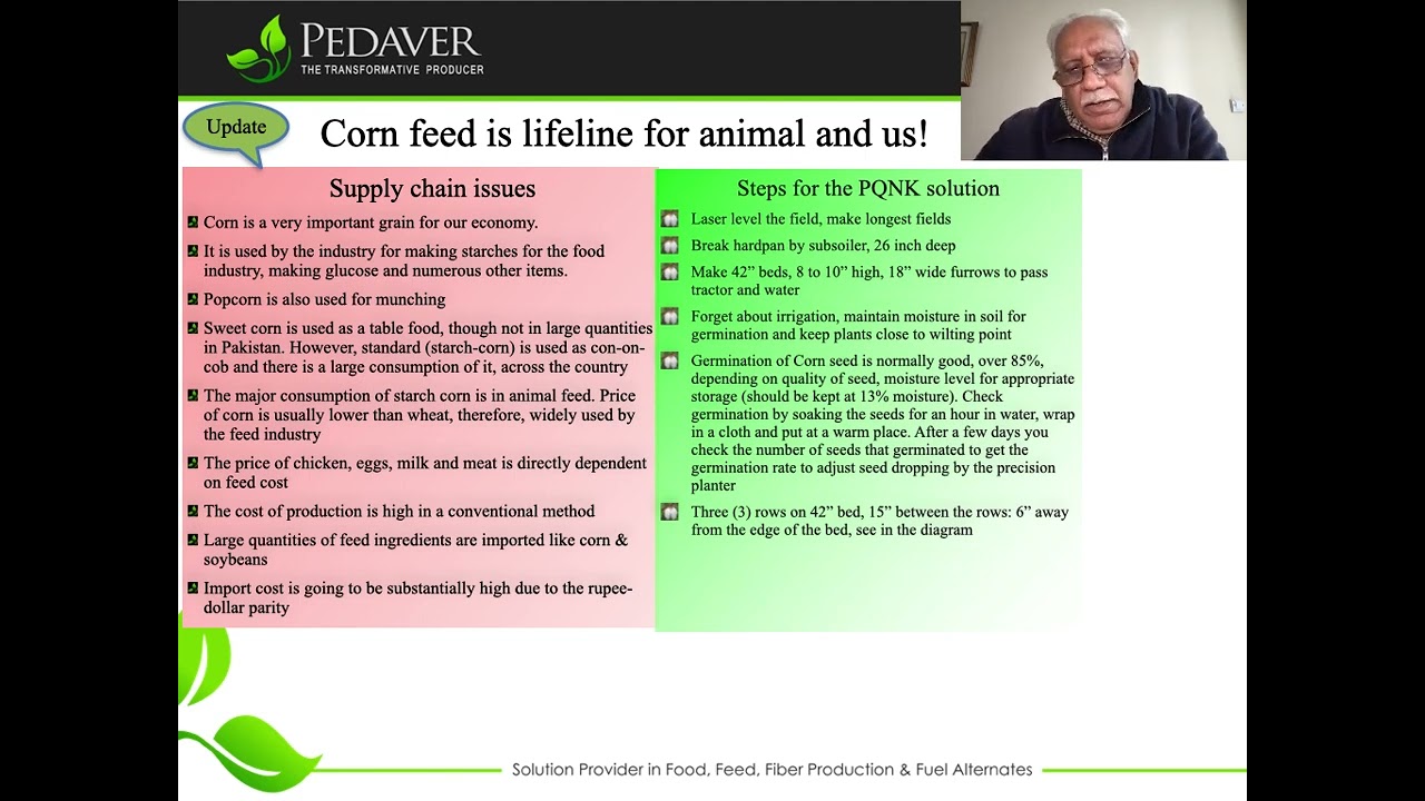 Corn feed is lifeline for animal and us!