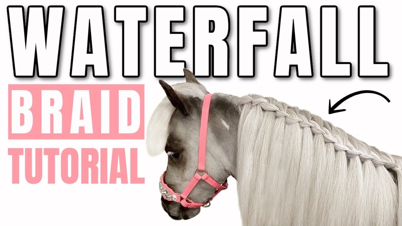 Waterfall Braid on Horse Mane - Braiding my Miniature Horse