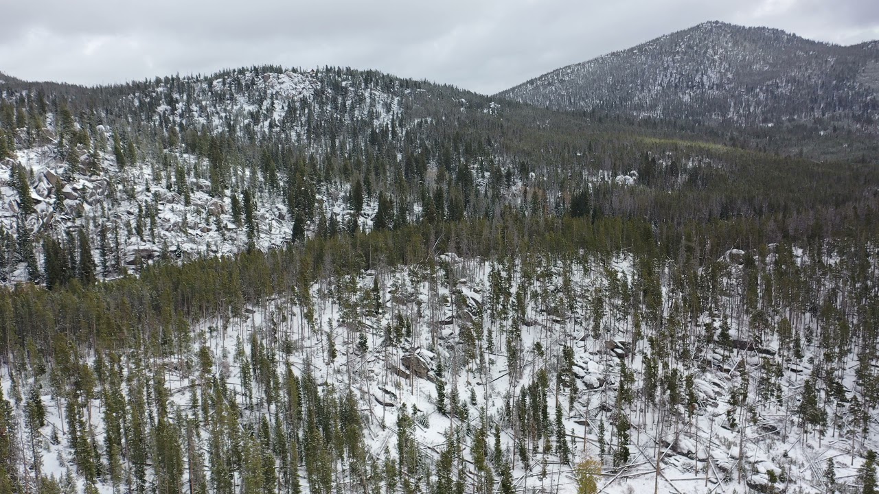 Gold Bug Lode, Butte Mt For Sale $99,500