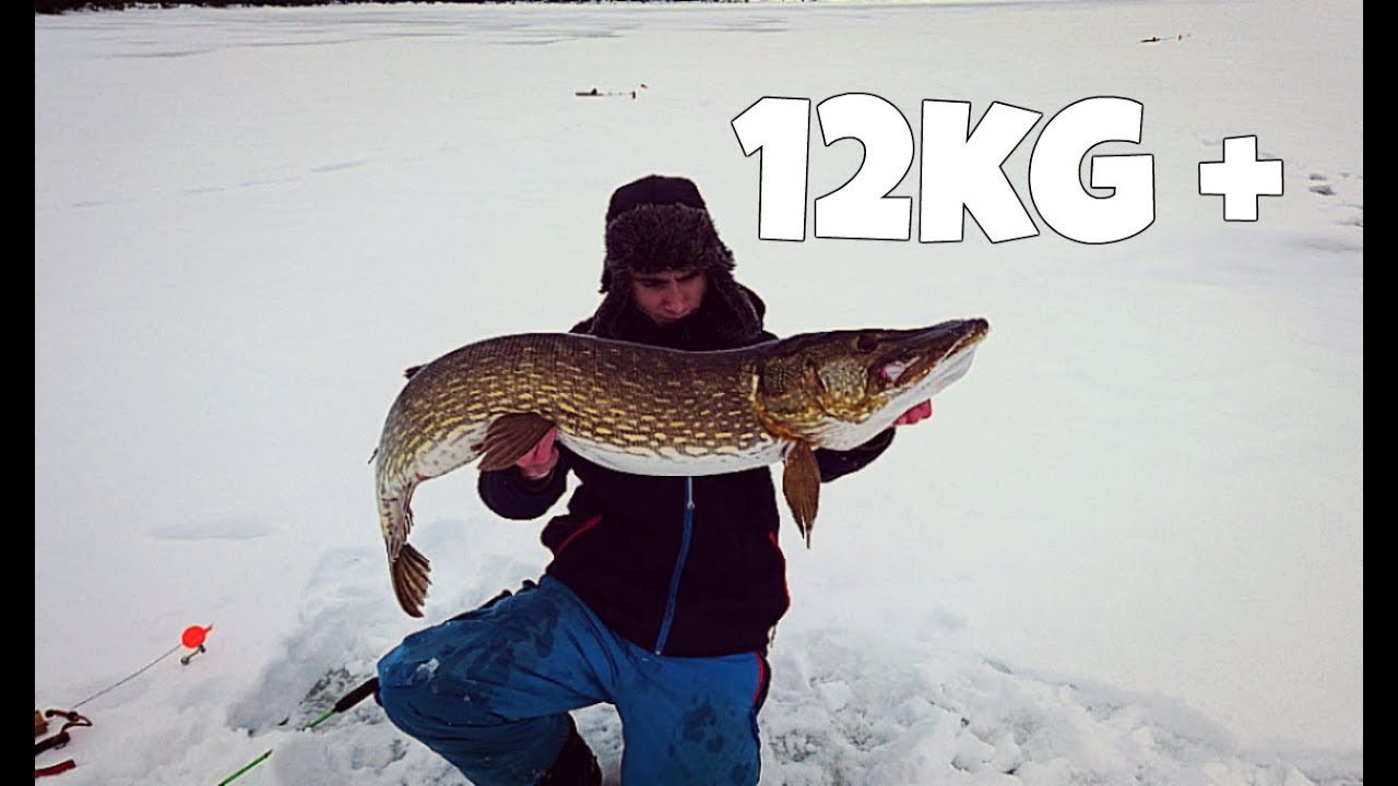 Riktig dr&ouml;mg&auml;dda p&aring; ismete! (Two Hunters)