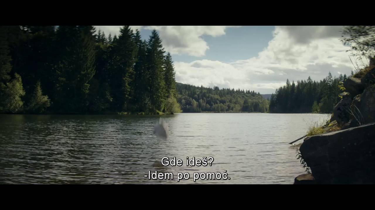 Film Trailer: Koliba straha / Cabin fever