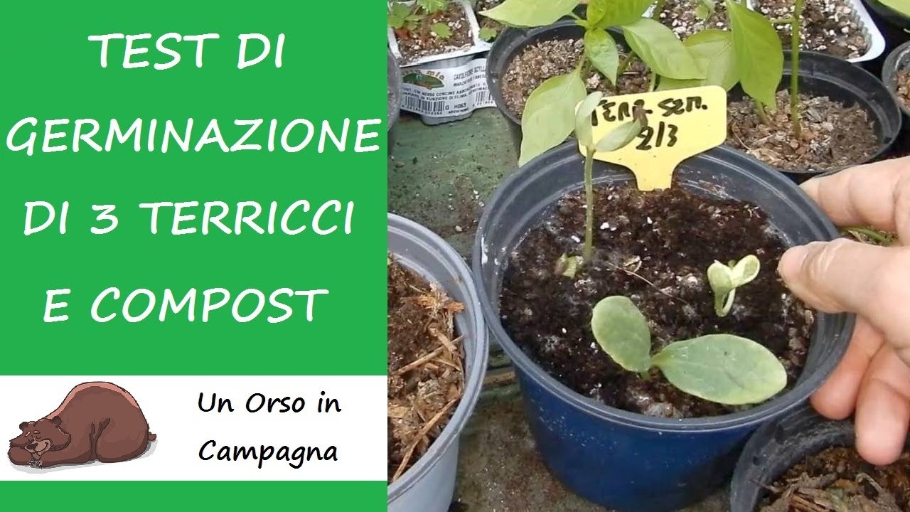 Non risparmiare sul terriccio da semina! Test di 3 terricci + compost!