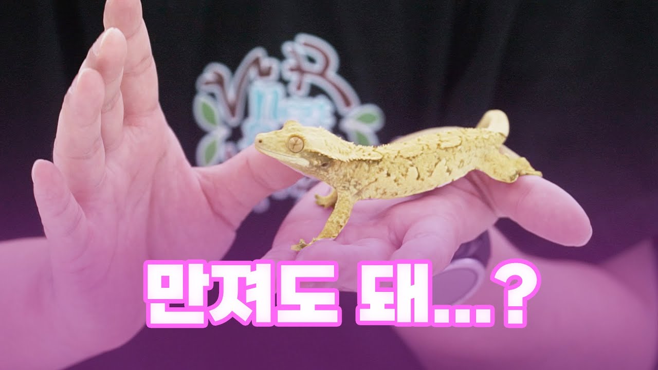 크레 핸들링 하는 방법