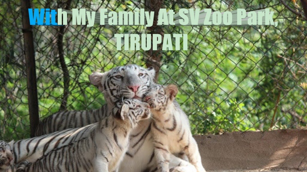 TIRUPATI  SV ZOO PARK