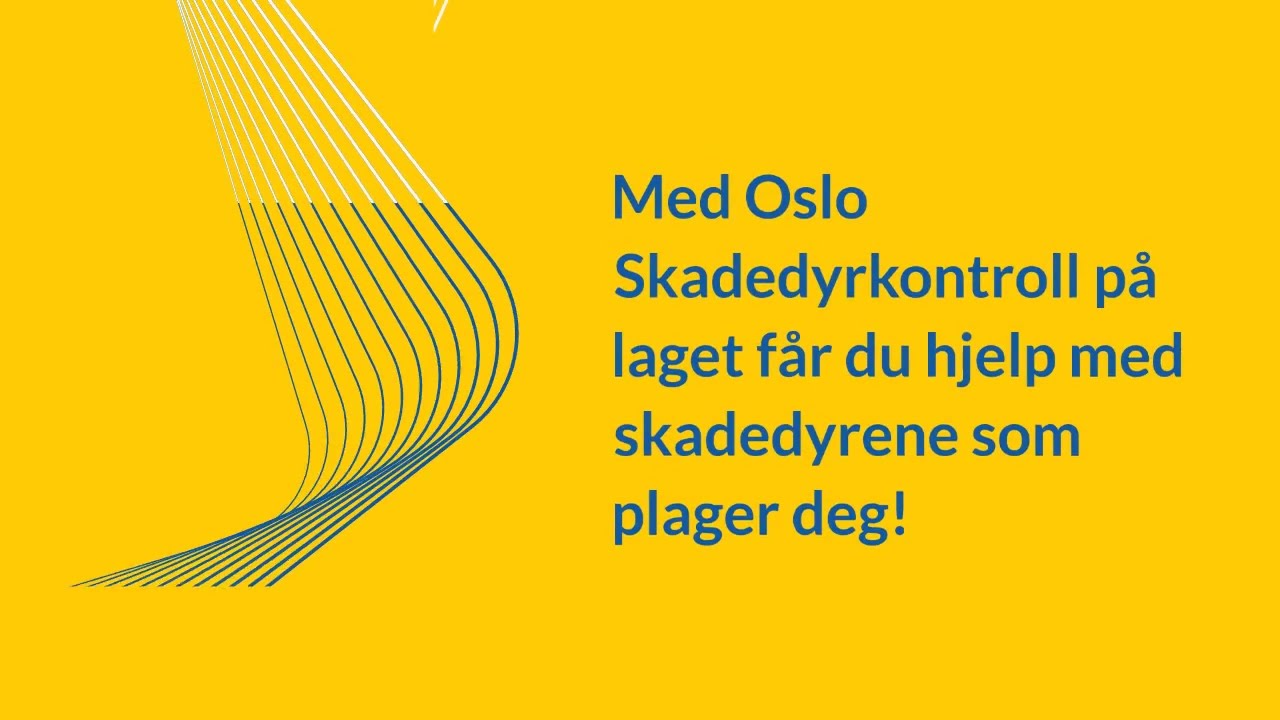 Oslo Skadedyrkontroll - Bli kvitt skadedyr i Oslo