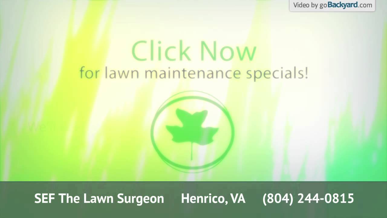 SEF The Lawn Surgeon