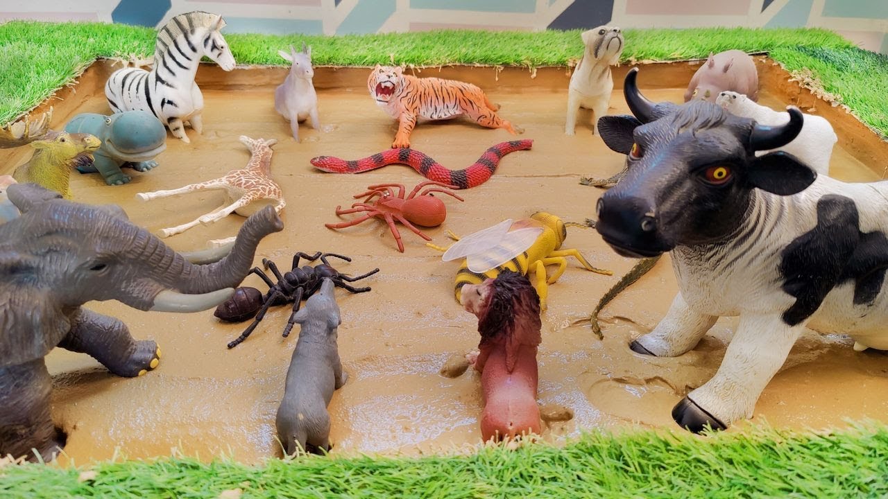 Farm Animals Adventure & Reptiles Bugs Expedition in Sandbox _ Learning Through Fun