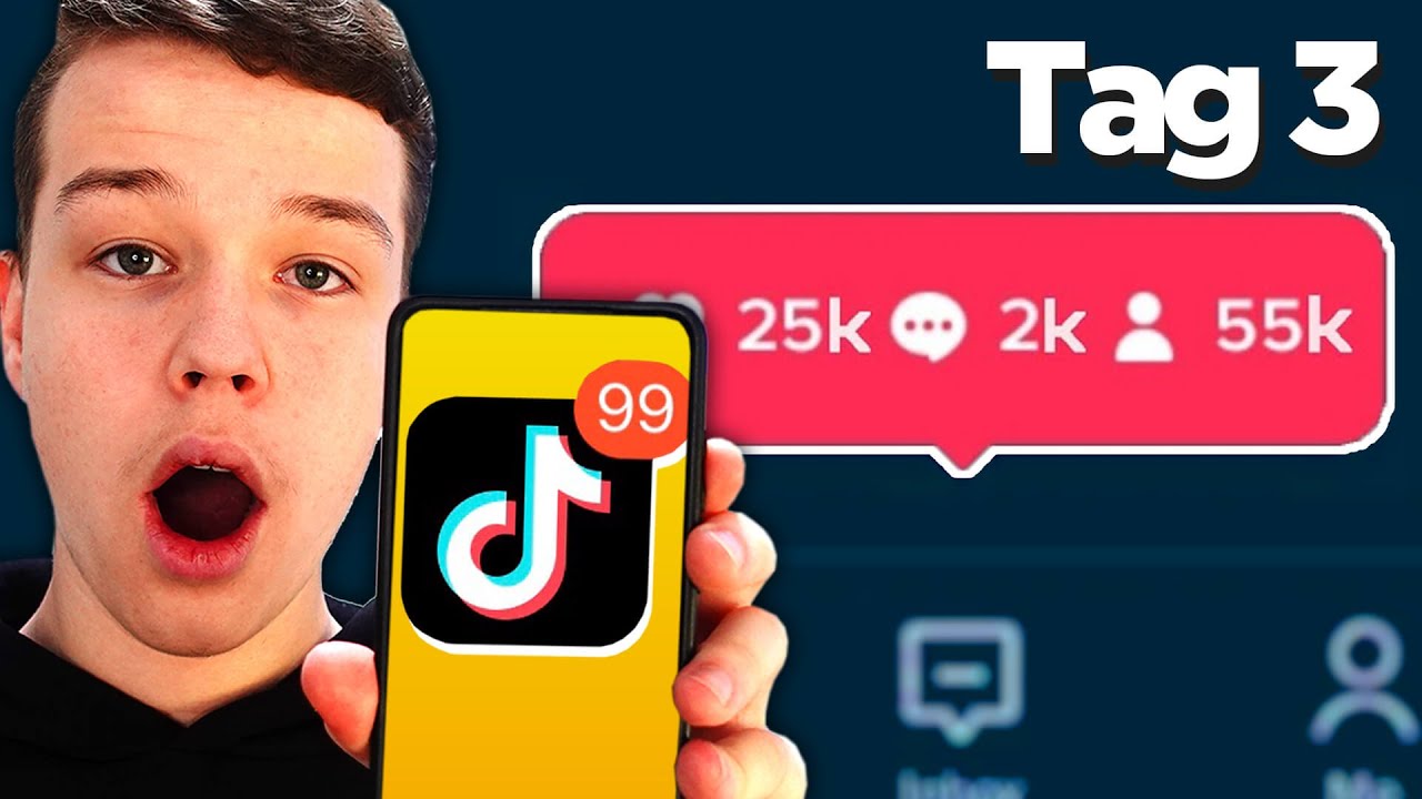 Fame AUF TikTok in 72 STUNDEN (Selbstexperiment)