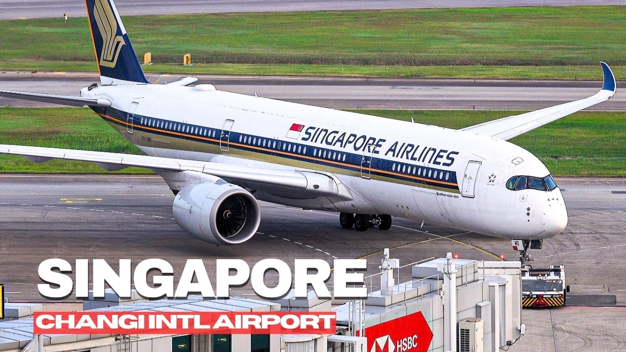 🇸🇬✈️ ВСЕ ТИПЫ САМОЛЕТОВ ЗА 20 МИНУТ! Плейнспоттинг в аэропорту Сингапур Чанги (SIN/WSSS)