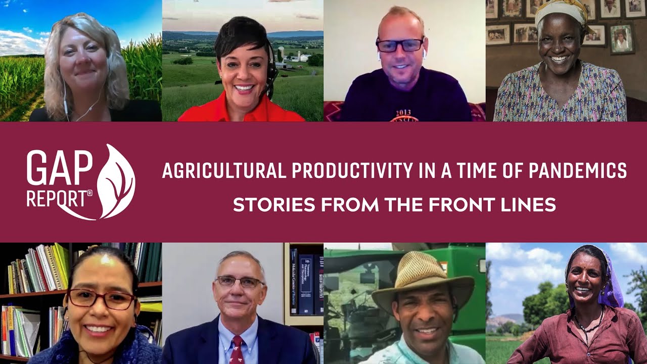 Agricultural Productivity in a Time of Pandemics: Stories from the Front Lines - 2020 GAP Report