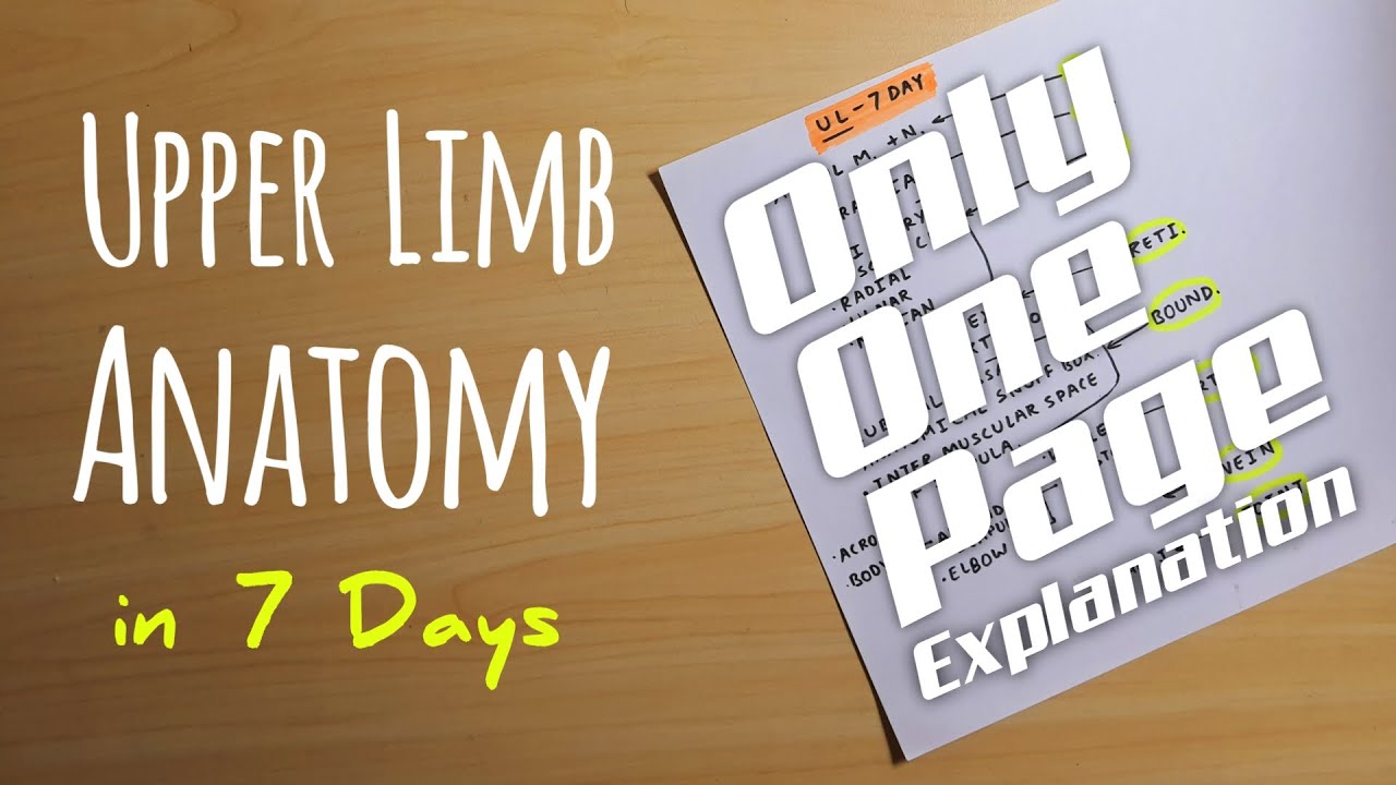 Upper Limb Anatomy in 7 Days | Dr. Pawan nagar