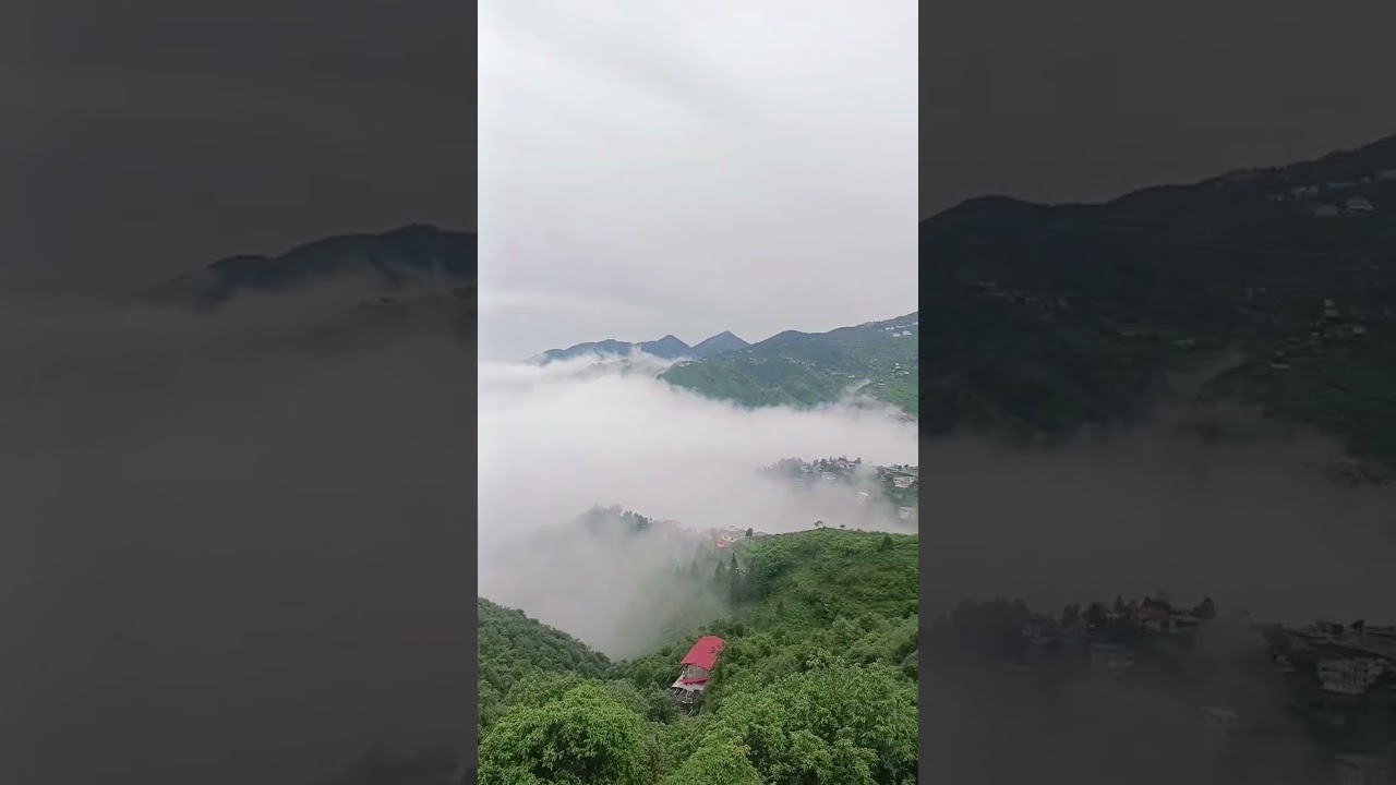 mussoorie after rain view | Mussoorie shorts | #mussorrie ,#dehradun ,#degree 💯