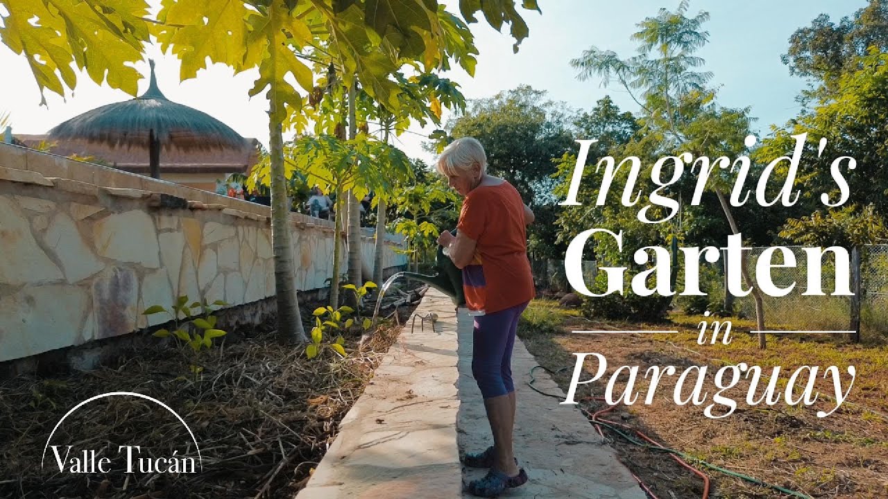 Ingrids Erfahrung - Auswandern Paraguay - Einen Garten führen in Paraguay  - Valle Tucan