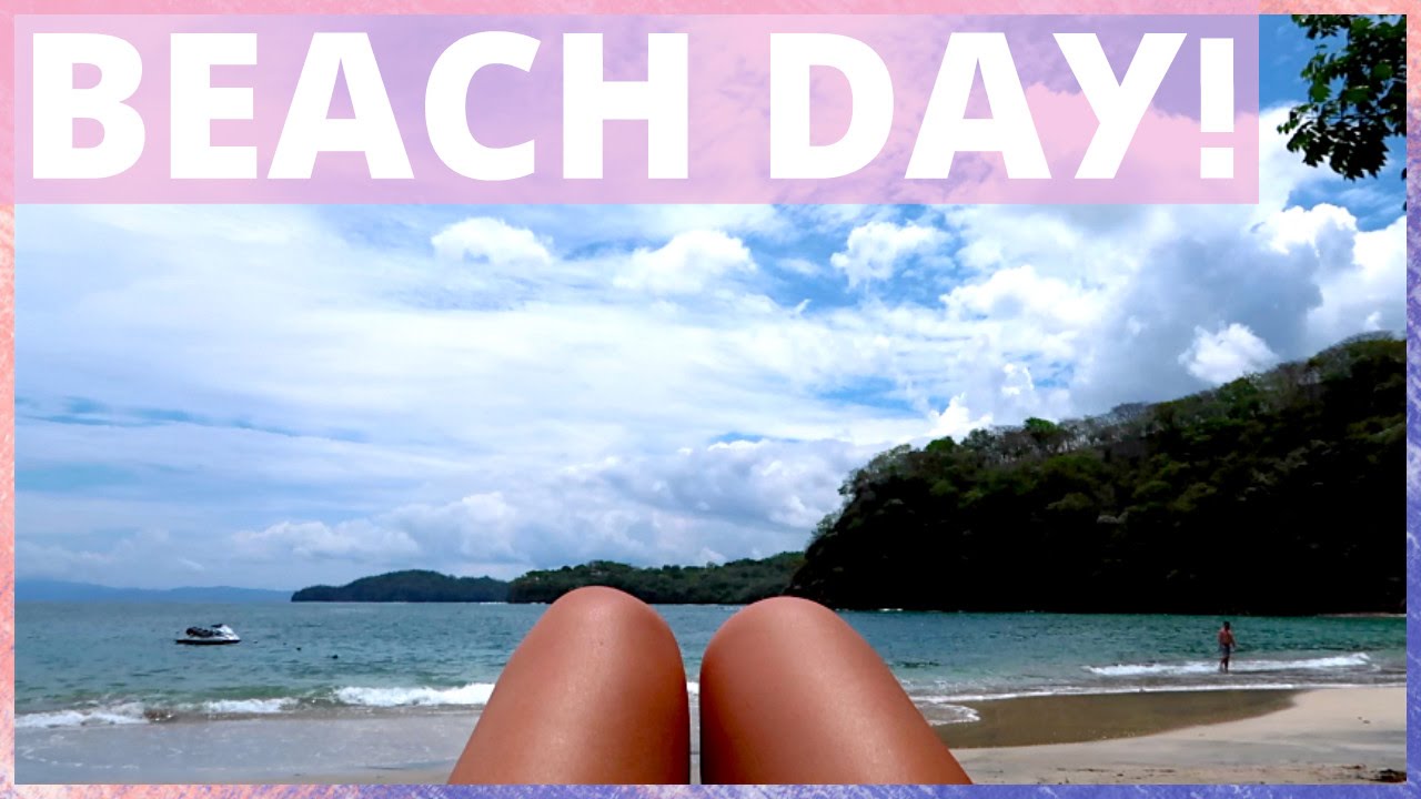 Beach Day & Pet Raccoons?!