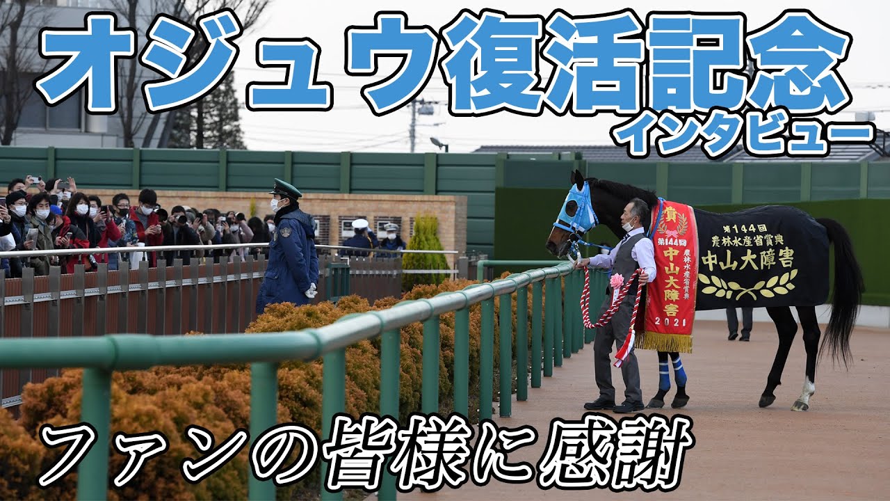 オジュウチョウサンに長沼厩務員「涙が止まらなかった」【復活Ｖインタビュー】