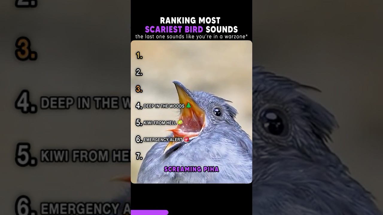 Most Scariest Bird Sounds #shorts #birds