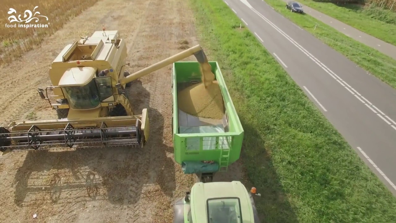 Taiko Tomasu sojasaus