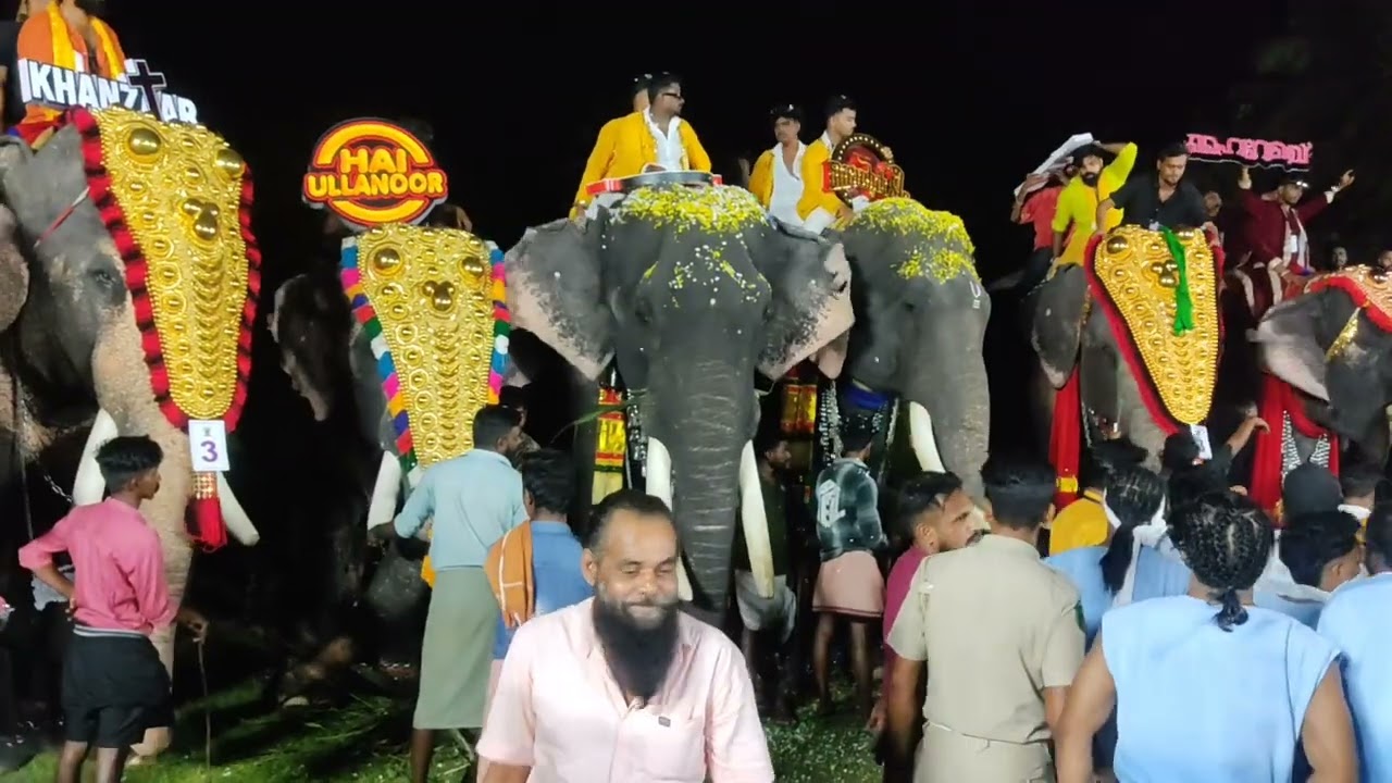 vk kadavu nercha 2026