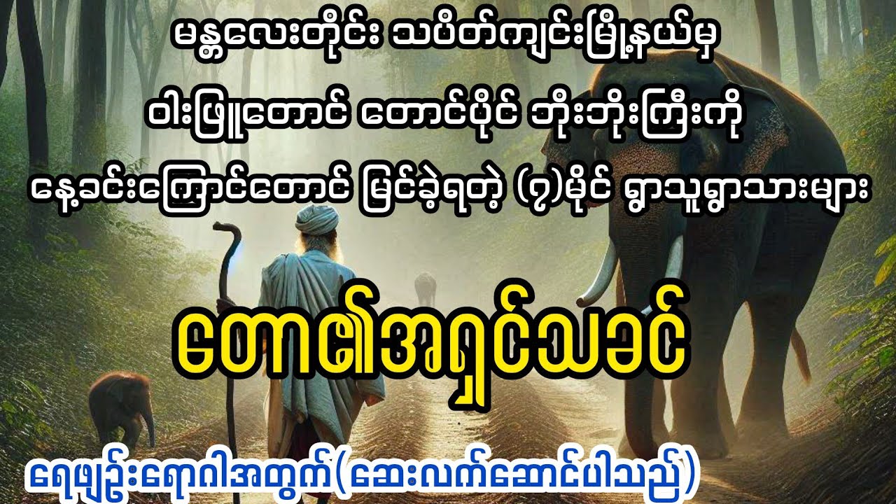 ( သပိတ်ကျင်းနယ်က ဝါးဖြူတောင်၏ အရှင်သခင်)#audiobook #myanmaraudiobook 