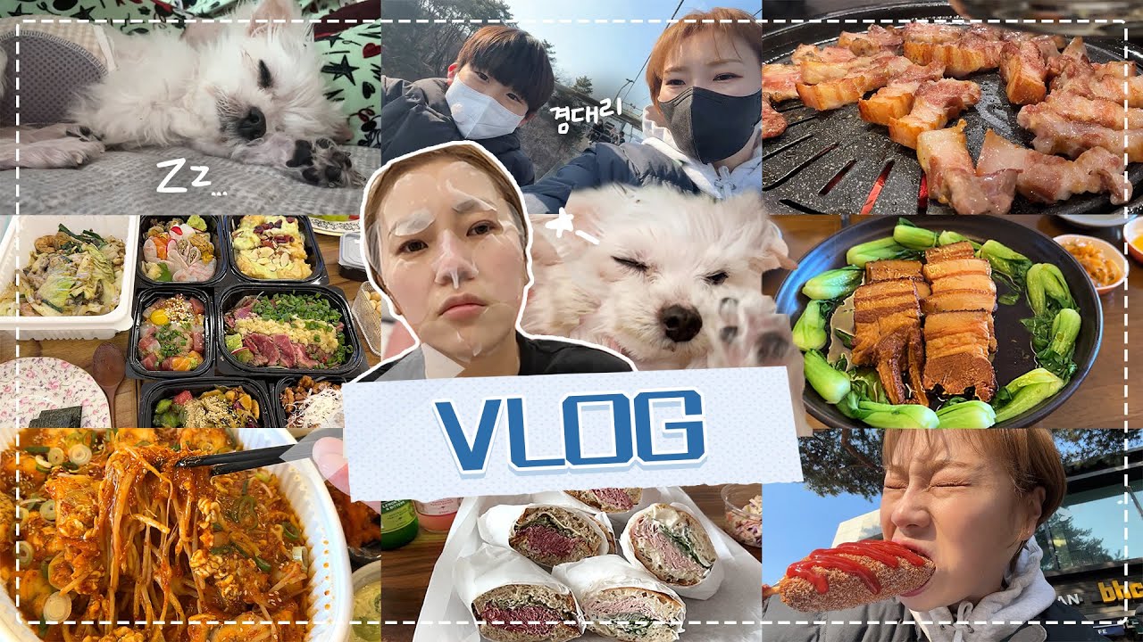 놀토 퇴근 후 햇님의 모습!? 겸이와  놀이공원 데이트🎠🥡 목란, 육시리, 소금집 먹방!! 대전 당일치기+천사or악마(?) 춘삼오빠🐶의 일상까지!! - 햇님의 브이로그 230308