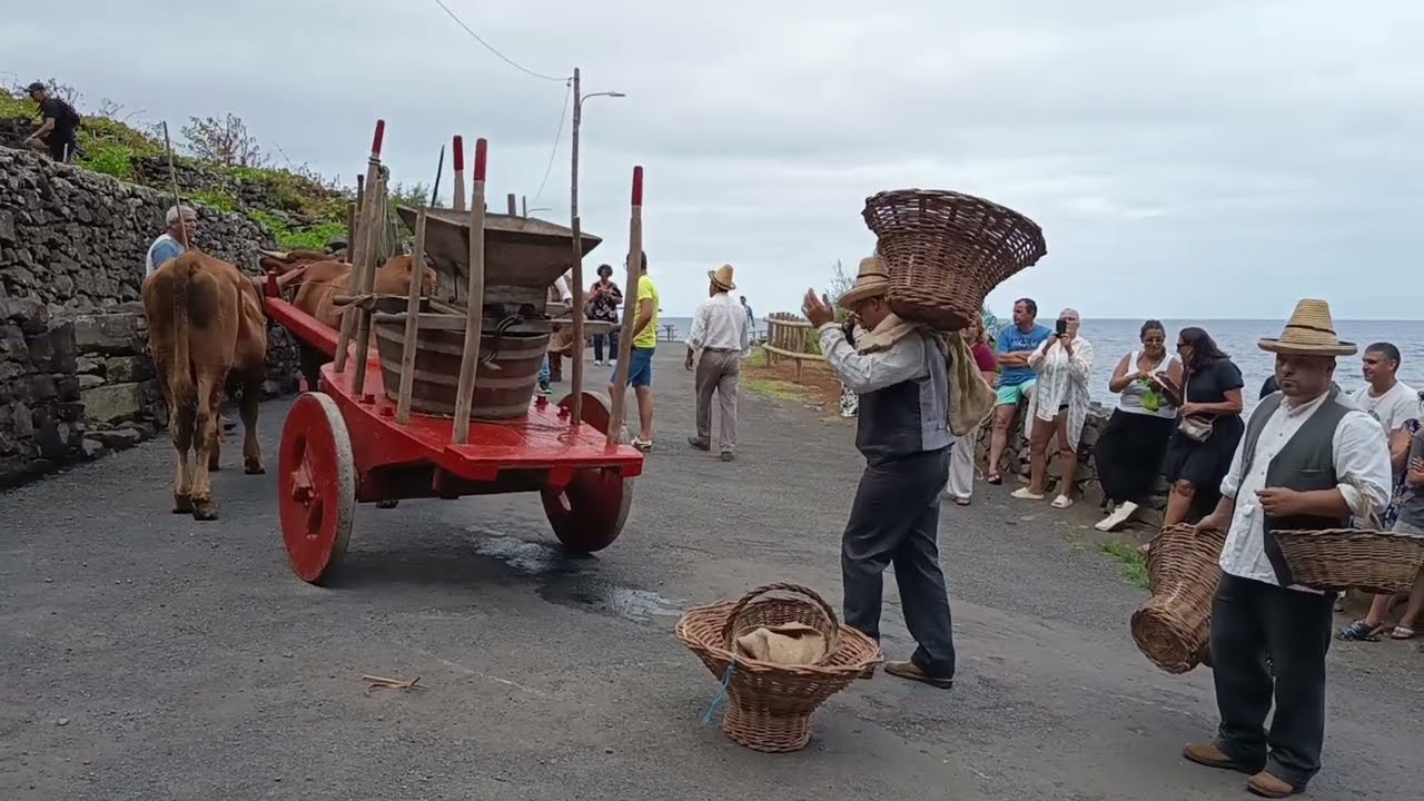 Lagar de Diogo Fernandes Faleiro, anterior a 1579. Vindimas à moda antiga.