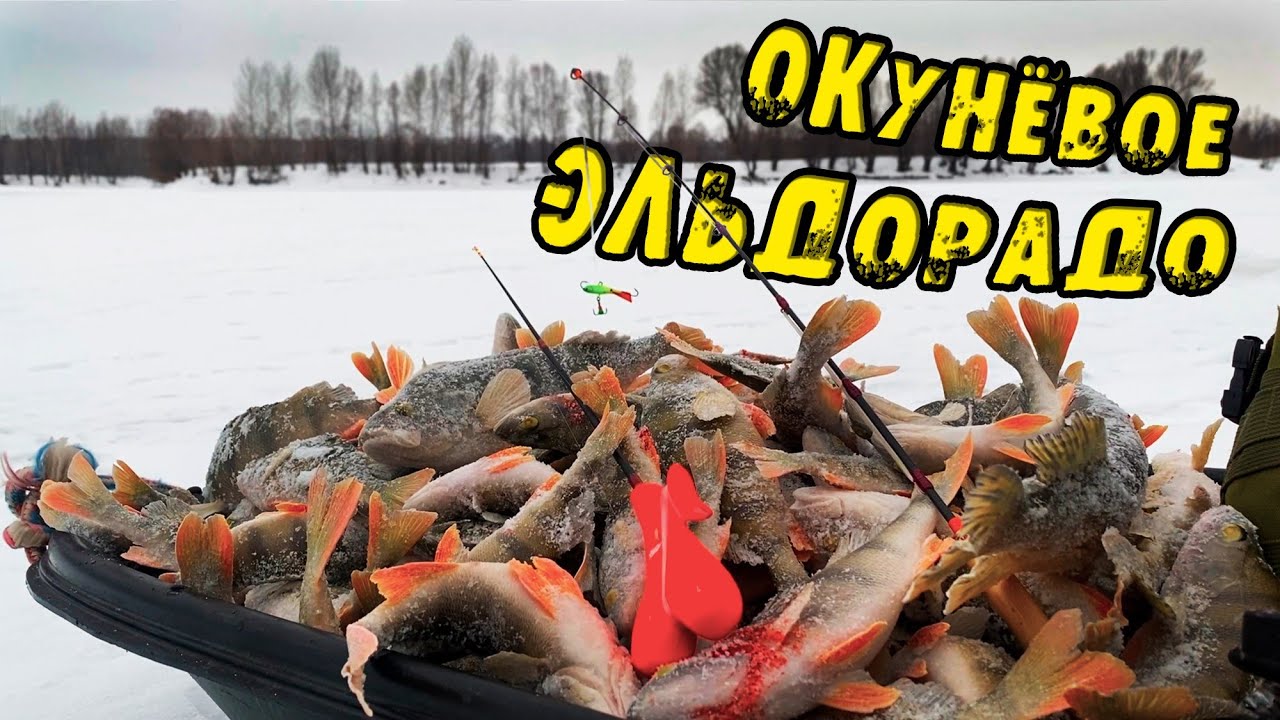 КЛËВ о котором МЕЧТАЮТ Многие! Я не верил что ТАК Бывает! Ловля окуня на балансиры. Зимняя рыбалка.