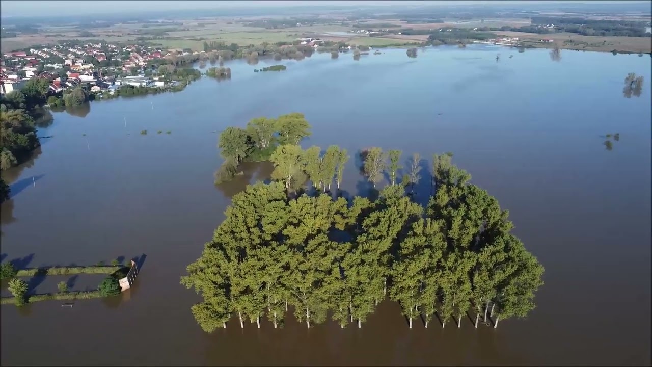 Odra Ścinawa 21.09.2024 powódź