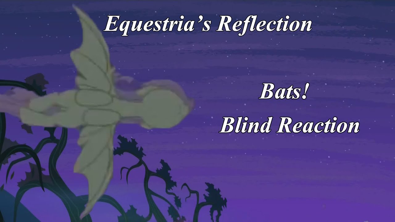 Season 4 Episode 7 - Bats! - Blind Reaction