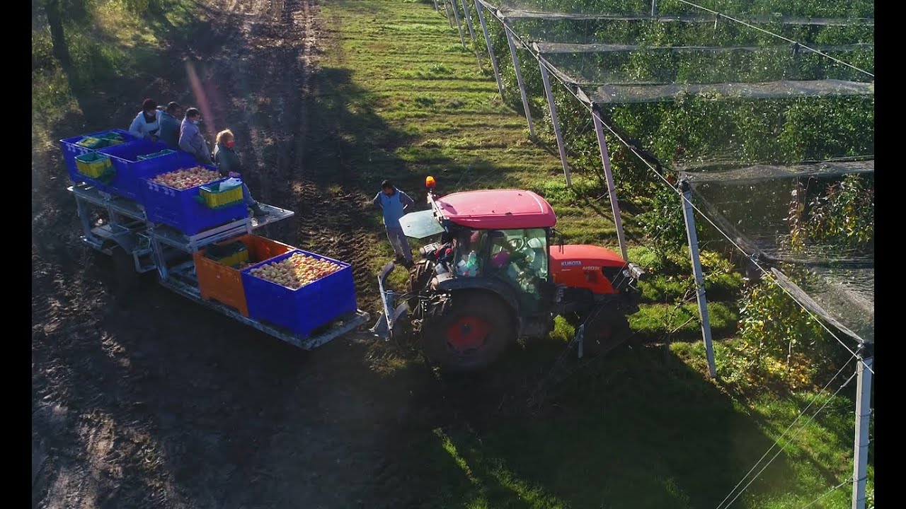 Fruit harvest trailer | Obsterntewagen | Heavy-Duty | Accepting orders