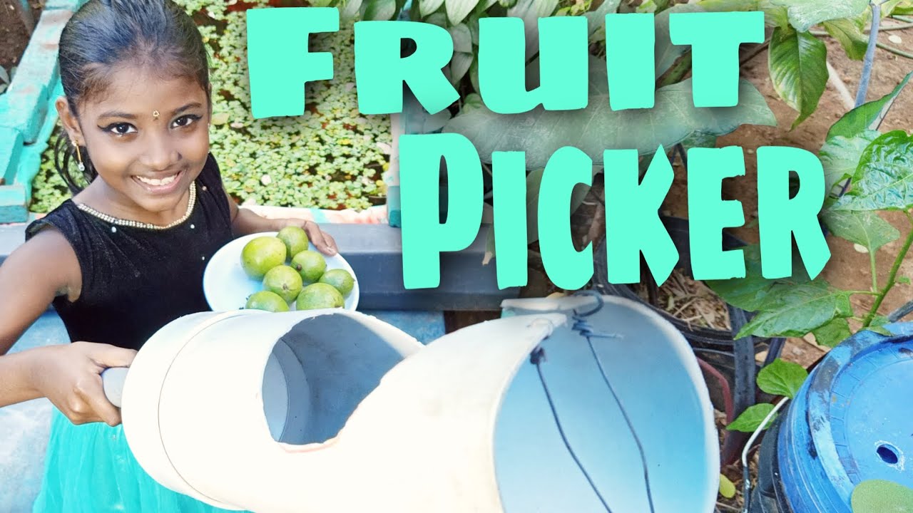 How to make fruits picker at home