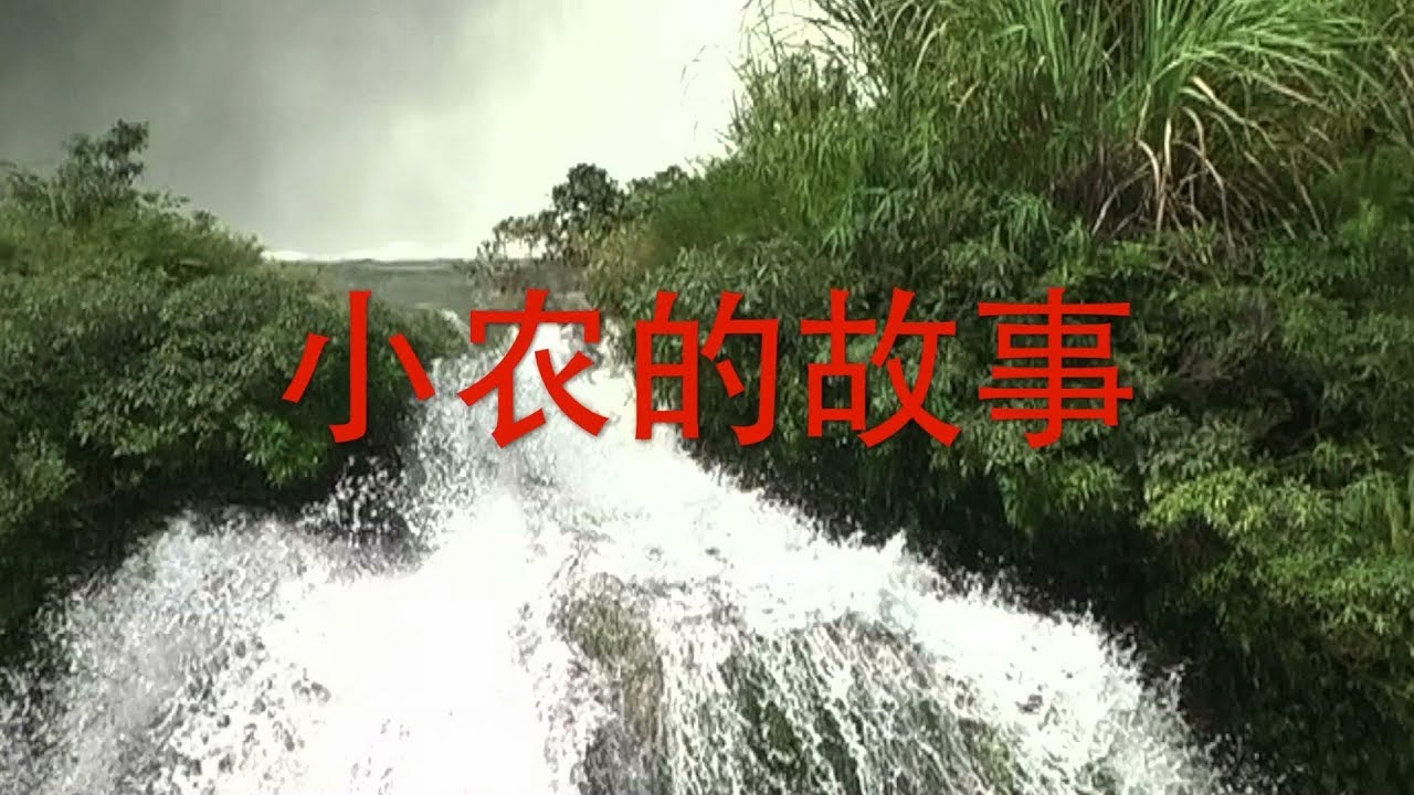 The Story of Xiao Nong - Zhuang Yue Language