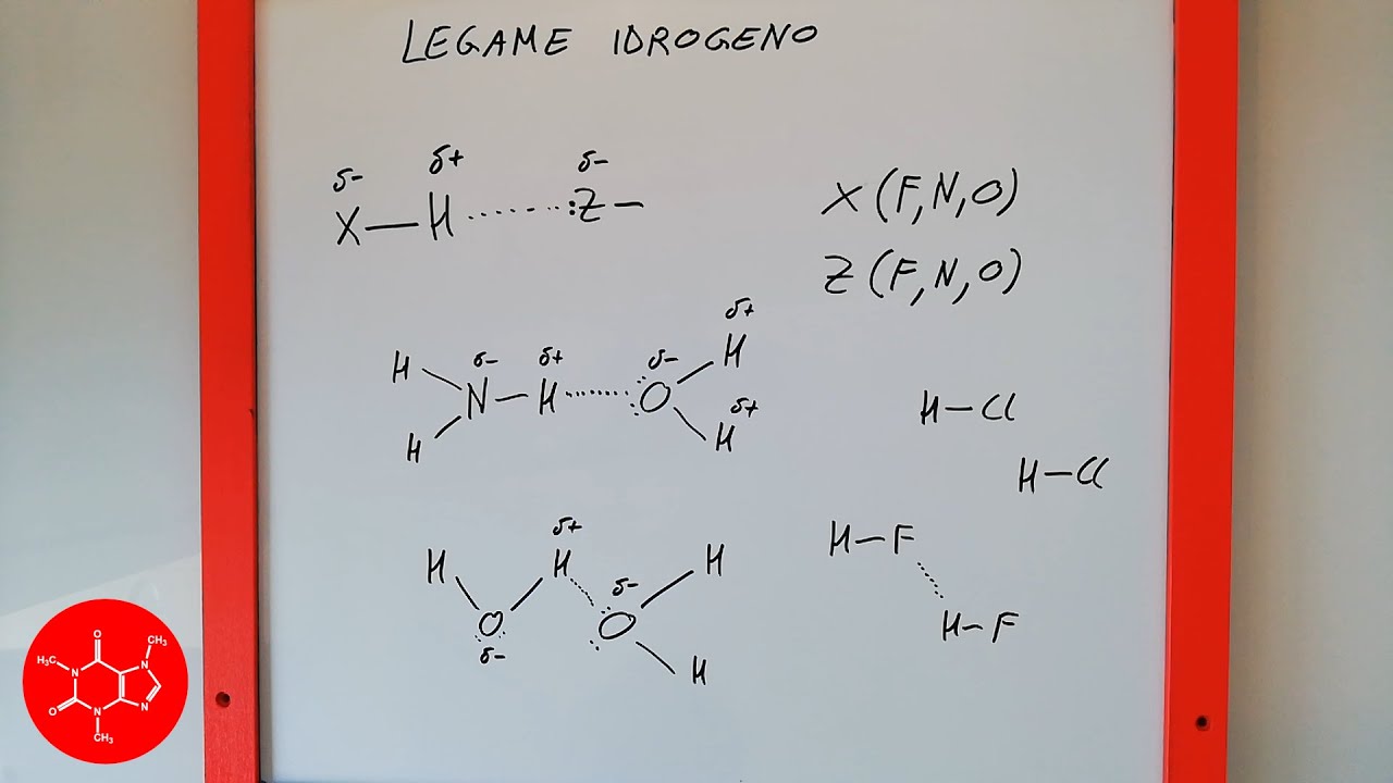 Legame idrogeno (legame intermolecolare) tra le molecole polari di una sostanza - lezione di chimica